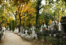 Cimitirul Belu Sectorul 4 News